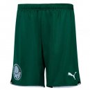 Pantalon Palmeiras Exterieur 2021 2022 Vert