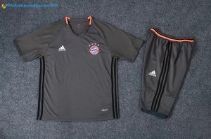 Entrainement Bayern Munich Ensemble Complet 2017 2018 Gris