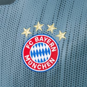 Maillot Bayern Munich Third 2018 2019 Gris
