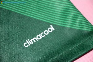 Maillot Mexico Domicile 2017