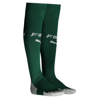 Chaussette Palmeiras Domicile 2019 2020 Vert