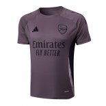 Maillot Entrainement Arsenal 2025-2026 Purpura Gris