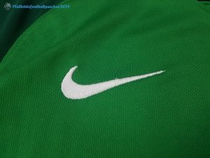 Maillot Nigeria Domicile 2018 Vert