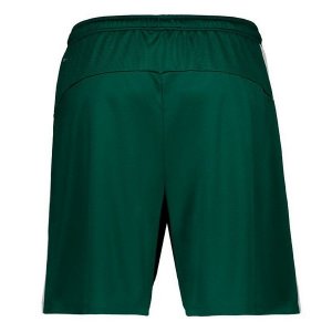 Thailande Pantalon Palmeiras Exterieur 2019 2020 Vert