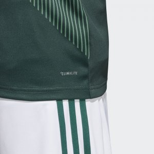 Maillot Mexico Domicile 2018