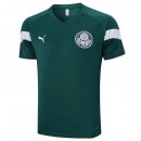 Maillot Entrainement Palmeiras 2023 2024 Vert