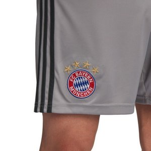 Pantalon Bayern Munich Domicile Gardien 2018 2019 Gris