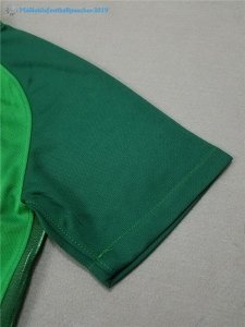 Maillot Nigeria Domicile 2018 Vert