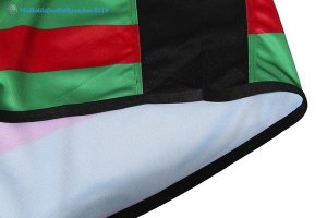 Maillot Rugby Rabbitohs Domicile 2017 2018 Vert