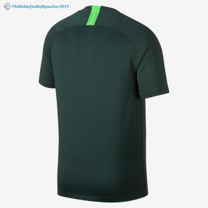 Maillot Nigeria Exterieur 2018 Vert