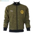 Veste Borussia Dortmund 2017 2018 Vert