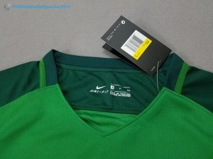 Maillot Nigeria Domicile 2018 Vert