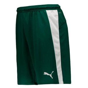 Thailande Pantalon Palmeiras Exterieur 2019 2020 Vert