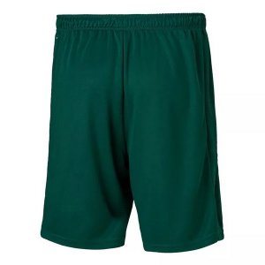 Pantalon Palmeiras Exterieur 2020 2021 Vert