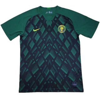 Maillot Nigeria Domicile 2019 Vert Maillot Nigeria Domicile 2019 Vert