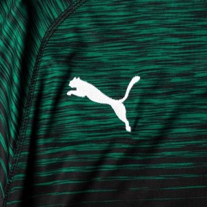 Maillot Borussia Mönchengladbach Exterieur 2018 2019 Vert