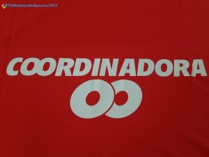 Maillot América de Cali Domicile 2017 2018