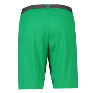 Pantalon Borussia Dortmund Exterieur Gardien 2018 2019 Vert