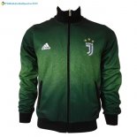 Veste Juventus 2017 2018 Vert