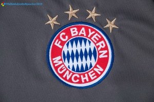 Entrainement Bayern Munich Ensemble Complet 2017 2018 Gris