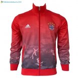 Veste Bayern de Munich 2017 2018 Rouge Gris