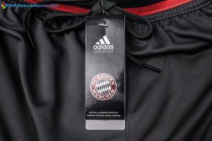 Entrainement Bayern Munich Ensemble Complet 2017 2018 Gris