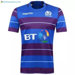 Maillot Rugby Écosse Domicile 2016 2017 Maillot Rugby Écosse Domicile 2016 2017