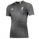 Maillot Entrainement Liverpool 2018 2019 Gris