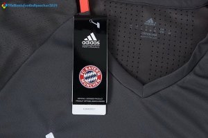 Entrainement Bayern Munich Ensemble Complet 2017 2018 Gris