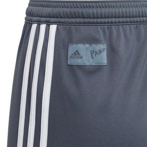 Pantalon Bayern Munich Third 2018 2019 Gris
