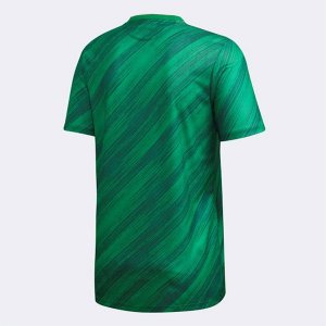 Maillot Irlande Del Norte Domicile 2020 Vert