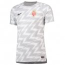 Maillot Entrainement AS Monaco 2018 2019 Gris