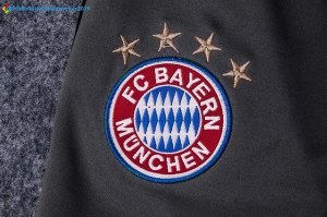 Entrainement Bayern Munich Ensemble Complet 2017 2018 Gris