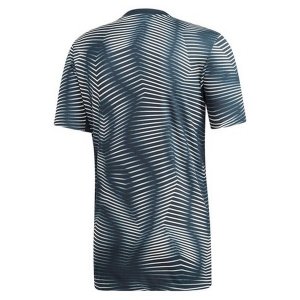 Entrainement Real Madrid Pre Match 2018 2019 Gris