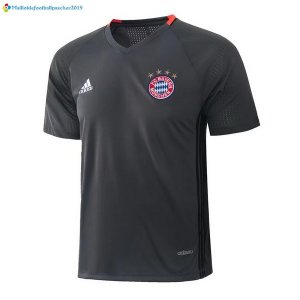 Entrainement Bayern Munich Ensemble Complet 2017 2018 Gris