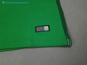 Maillot Nigeria Domicile 2018 Vert