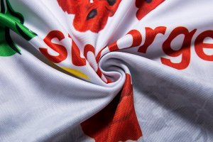 Maillot St.George Illawarra Dragons Edición Conmemorativa 2018 Blanc