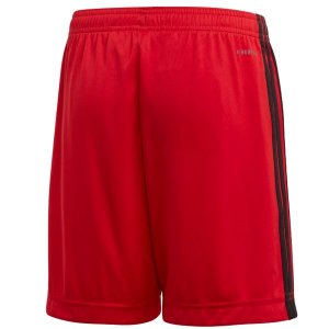 Pantalon Belgique Domicile 2020 Rouge