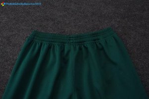 Survetement Palmeiras 2017 2018 Vert