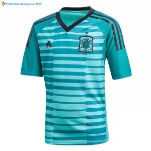 Maillot Espagne Enfant Domicile Gardien 2018