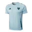 Maillot Entrainement Cruzeiro 2025-2026 Bleu