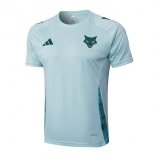 Maillot Entrainement Cruzeiro 2025-2026 Bleu