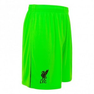 Pantalon Liverpool Exterieur Gardien 2018 2019 Vert
