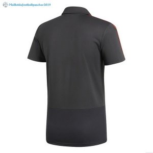 Polo Espagne 2018 Gris