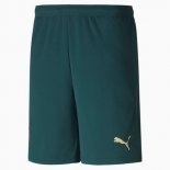 Pantalon Italie Domicile 2020 Vert