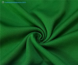 Maillot Nigeria Domicile 2018 Vert