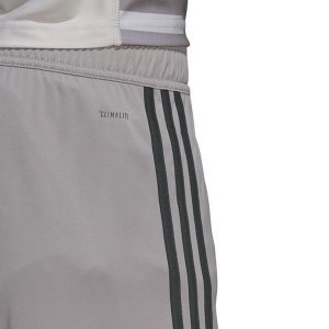 Pantalon Bayern Munich Domicile Gardien 2018 2019 Gris