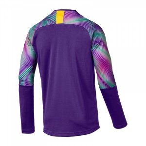 Maillot Borussia Dortmund ML Gardien 2019 2020 Purpura