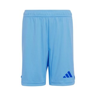 Pantalon Real Madrid Domicile Gardien 2024 2025 Pantalon Real Madrid Domicile Gardien 2024 2025