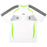 Maillot Juventus Spécial 2019 2020 Blanc Vert